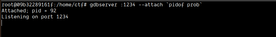 remote-debugging